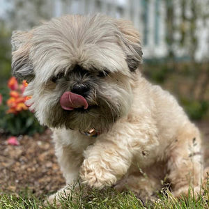 Meet your Posher, Christy